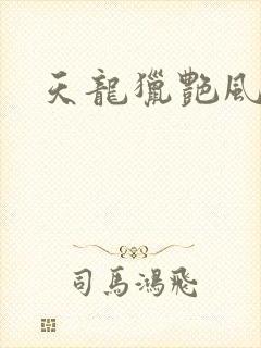 天龙猎艳风流
