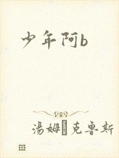 少年阿b