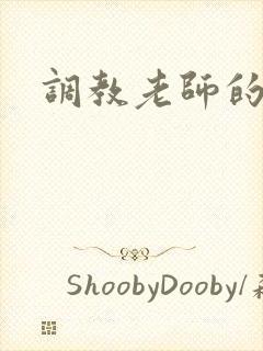 调教老师的小说