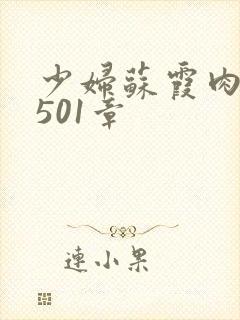 少妇苏霞肉欲第501章