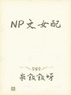 NP文女配