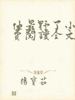 他最野了小说免费阅读全文