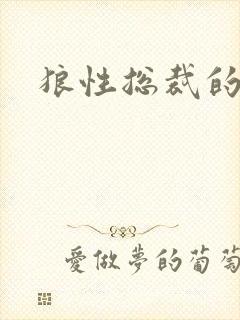 狼性总裁的尤物