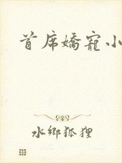 首席娇宠小情人