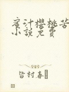 蜜汁樱桃苦咖啡小说免费