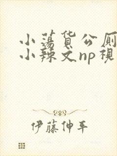 小荡货公厕h文小辣文np视频