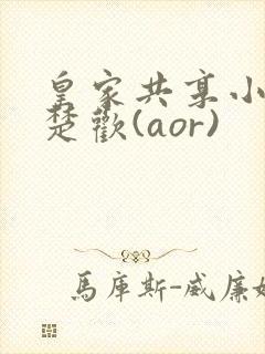 皇家共享小公主楚欢(aor)