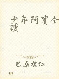 少年阿宾全集阅读
