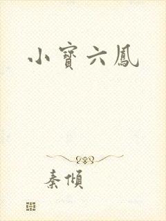 小宝六凤