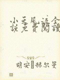 小天风流全集小说免费阅读封面