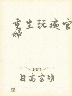 重生玩遍官场贵妇