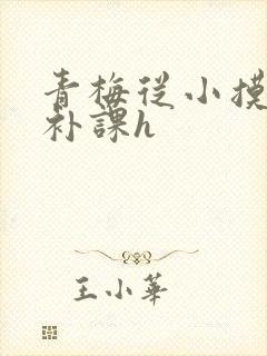 青梅从小摸到大补课h