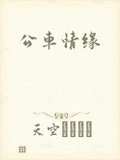 公车情缘