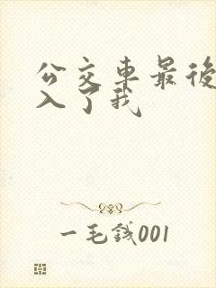 公交车最后一排入了我