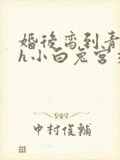 婚后脔到青梅哭h小白兔宫交h封面