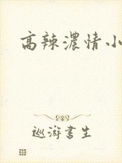 高辣浓情小说