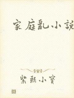 家庭乱小说