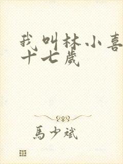 我叫林小喜今年十七岁
