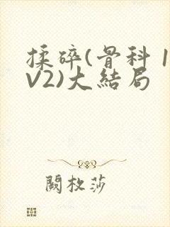 揉碎(骨科 1V2)大结局