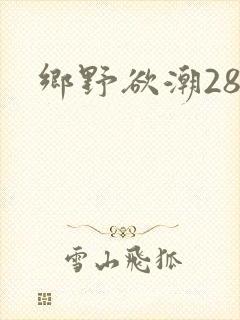 乡野欲潮28章