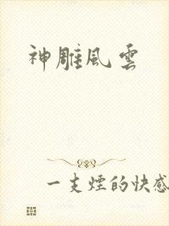 神雕风云