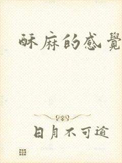 酥麻的感觉小说