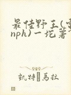最佳野王(电竞nph)一坨薯饼