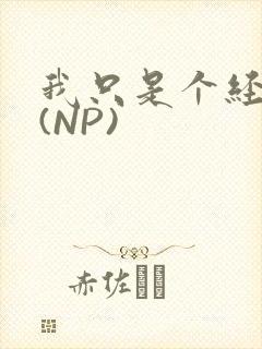 我只是个经纪人(NP)