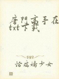 唐门高手在异世txt下载