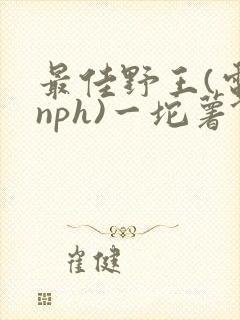 最佳野王(电竞nph)一坨薯饼