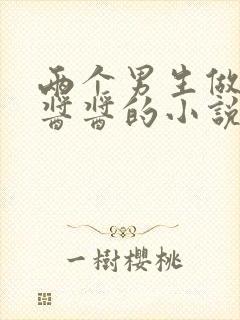 两个男生做酿酿酱酱的小说