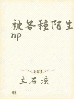 被各种陌生人 np