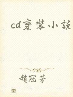 cd变装小说