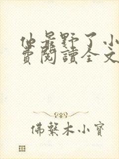 他最野了小说免费阅读全文