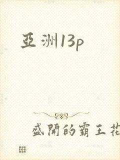 亚洲13p