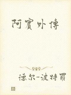 阿宾外传