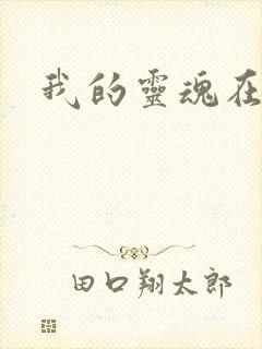 我的灵魂在古代封面