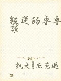 叛逆的鲁鲁修小说