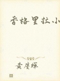 香格里拉小说封面