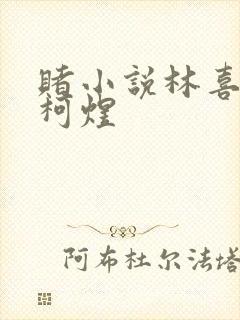 赌小说林喜朝和柯煜