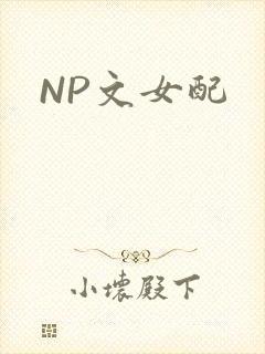 NP文女配