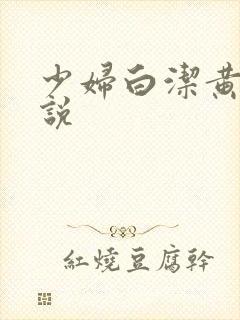 少妇白洁黄色小说