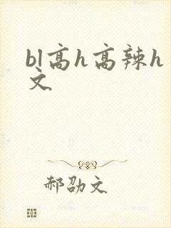 bl高h高辣h文