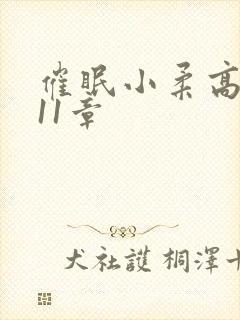 催眠小柔高达第11章