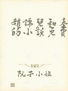 赵锦儿和秦慕修的小说免费阅读全文