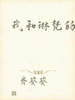 我和琳梵的故事