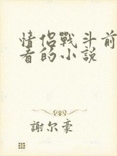 情侣战斗前适合看的小说