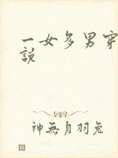 一女多男穿越小说