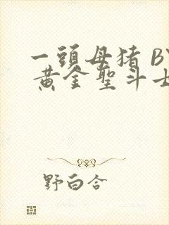 一头母猪 BY 黄金圣斗士