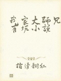 我家大师兄脑子有坑小说